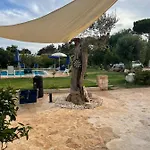 Evergreen Guest house Polignano a Mare
