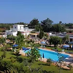 Evergreen 4*