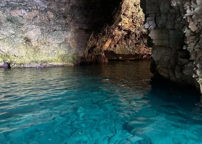 Evergreen Polignano a Mare