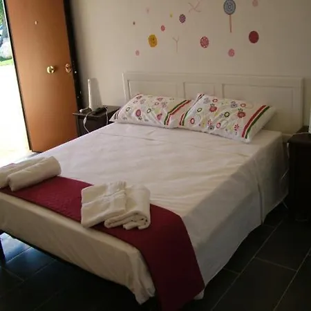 Evergreen Guest house