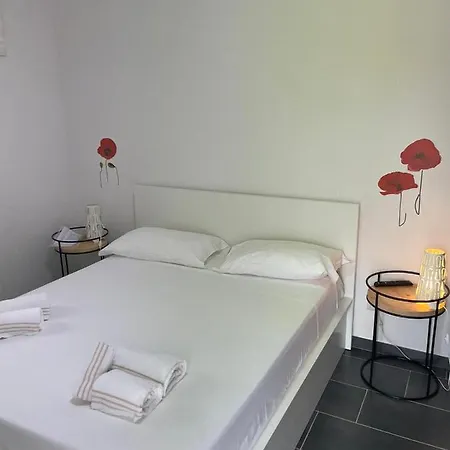 Evergreen Guest house