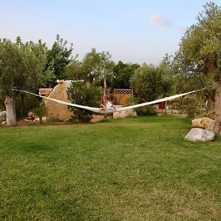 Evergreen Guest house