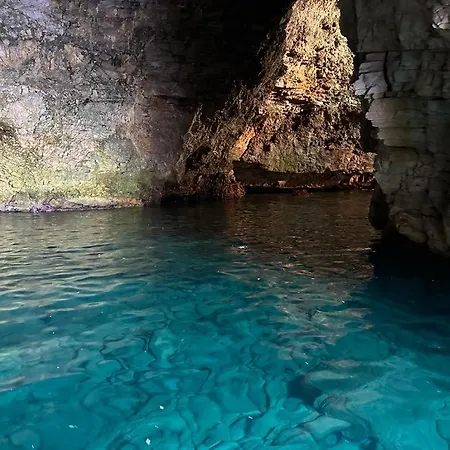 Evergreen Polignano a Mare