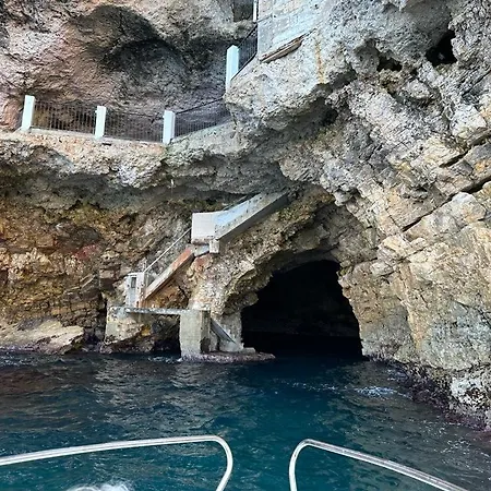 Evergreen Polignano a Mare