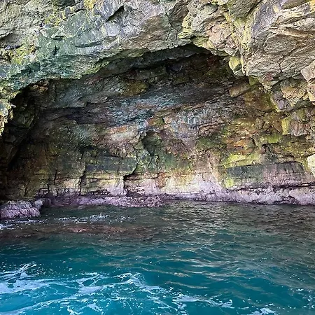 Affittacamere Evergreen 4*